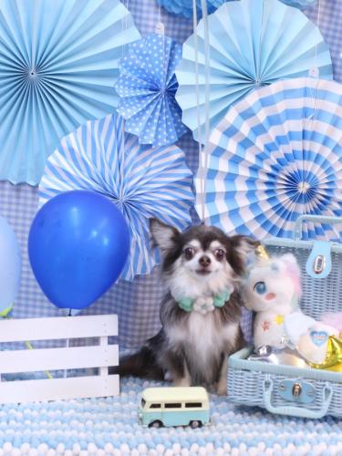 20231129空太くん